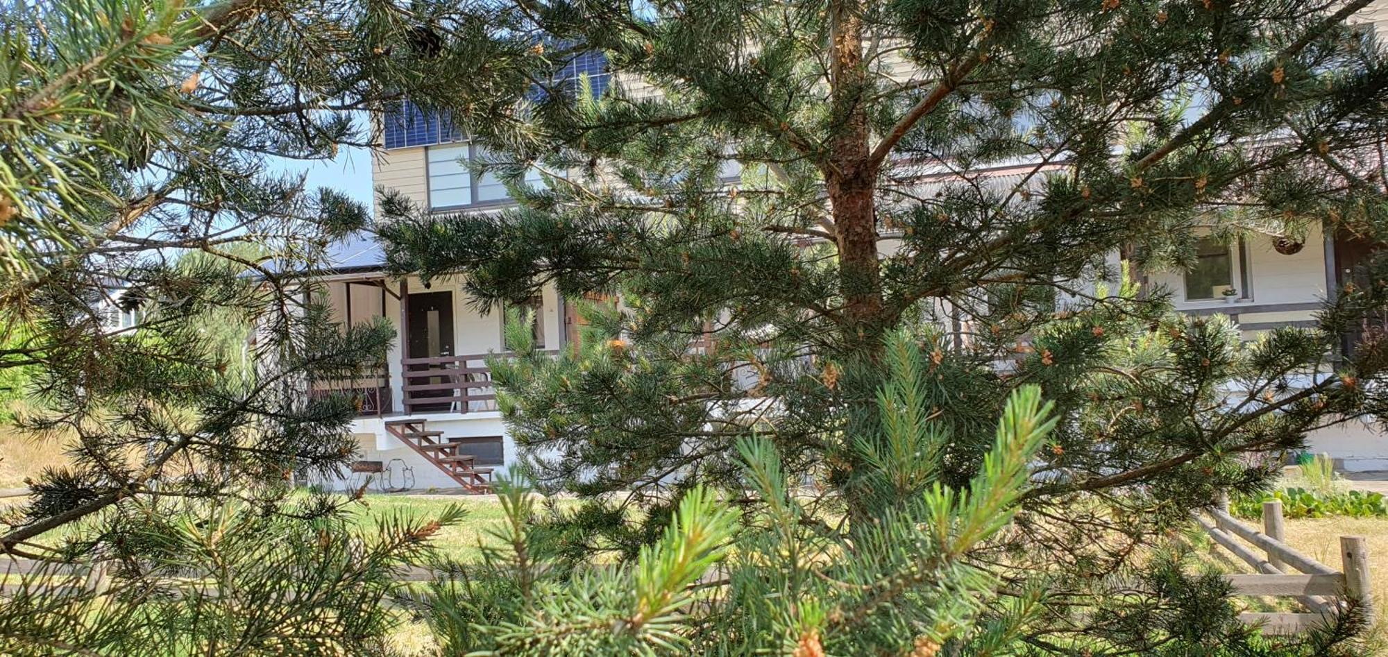 Apartamentas Kurenas * Nida